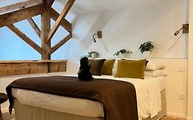 Castor Coquin Aubagne Cassis Aix en Provence